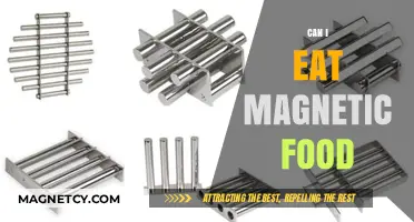 Exploring the Safety and Science of Eating Magnetic Food