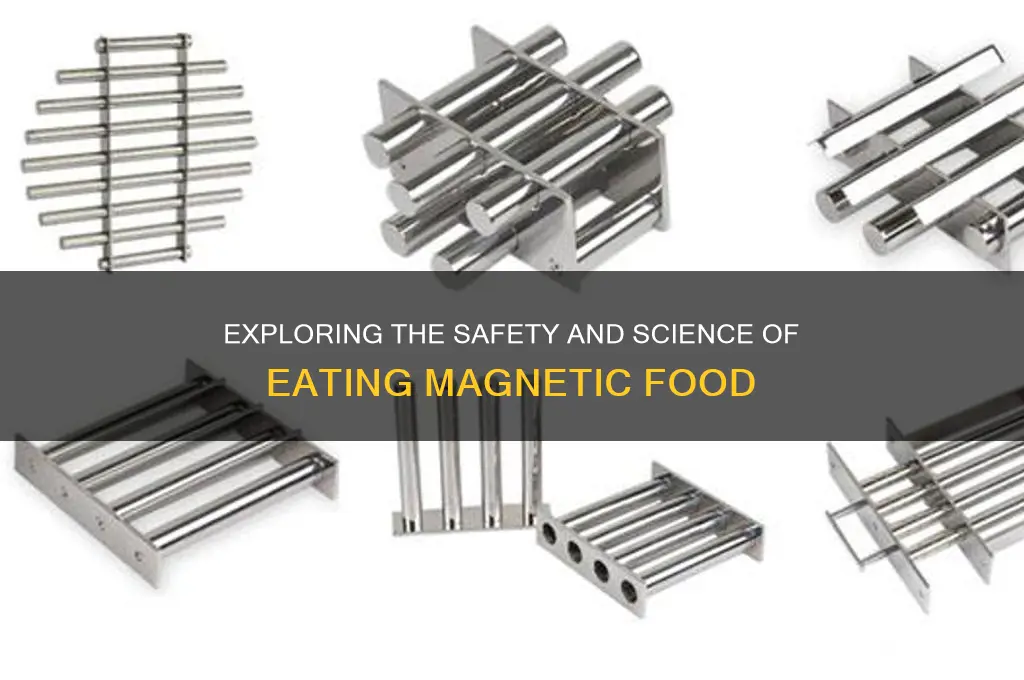 can i eat magnetic food