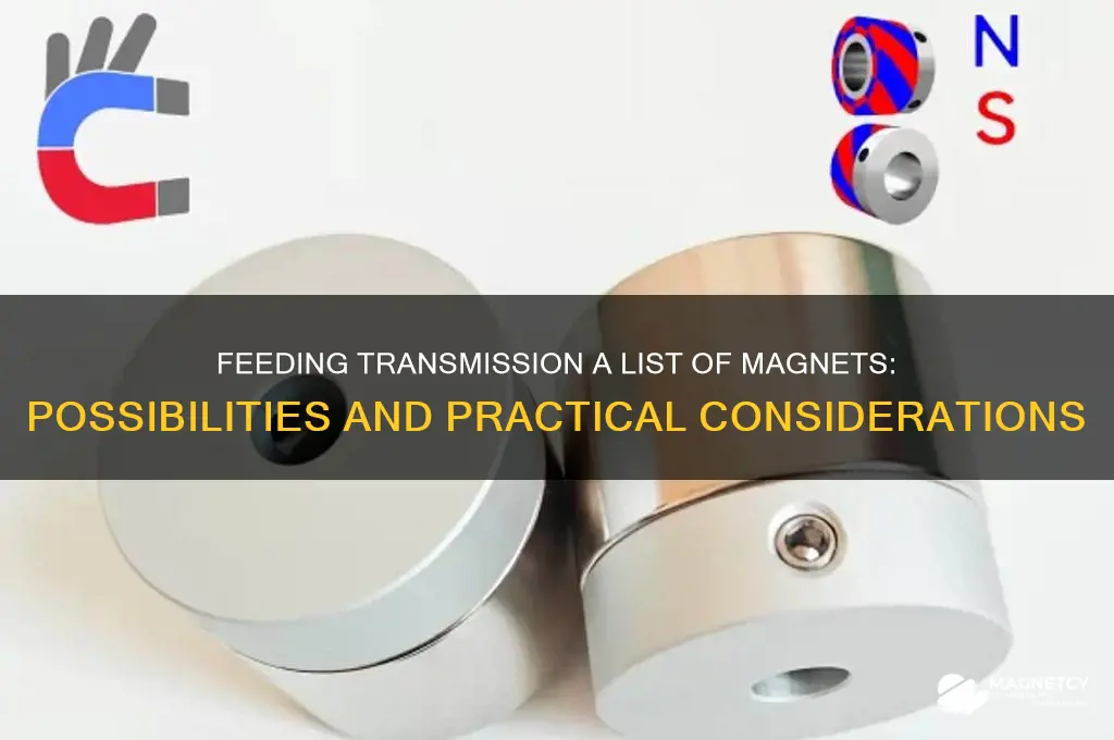 can i feed transmission a list of magnets