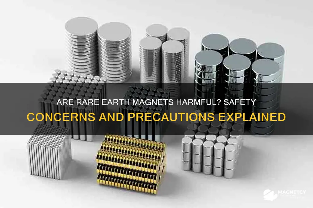 can i file rare earth magnets harmful