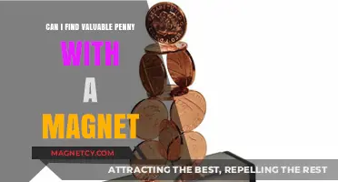 Magnet Treasure Hunt: Discovering Valuable Pennies with Magnetic Attraction