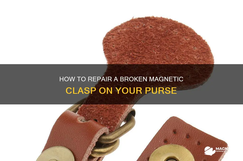 can i fix the magnetic clasp on my purse