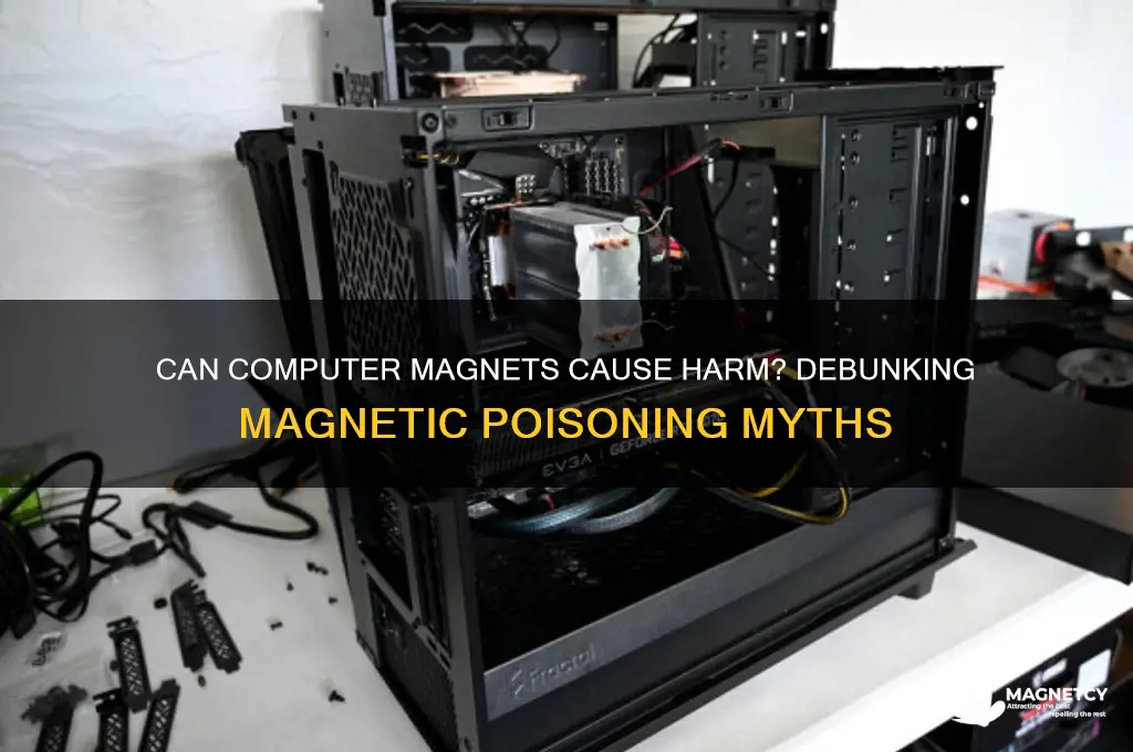 can i get magnetic poisoning from my computer