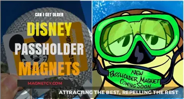 Where to Find Older Disney Passholder Magnets for Collectors