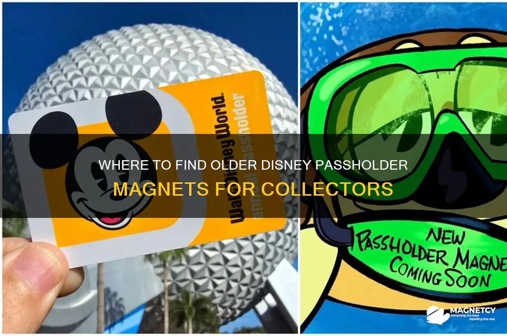 can i get older disney passholder magnets