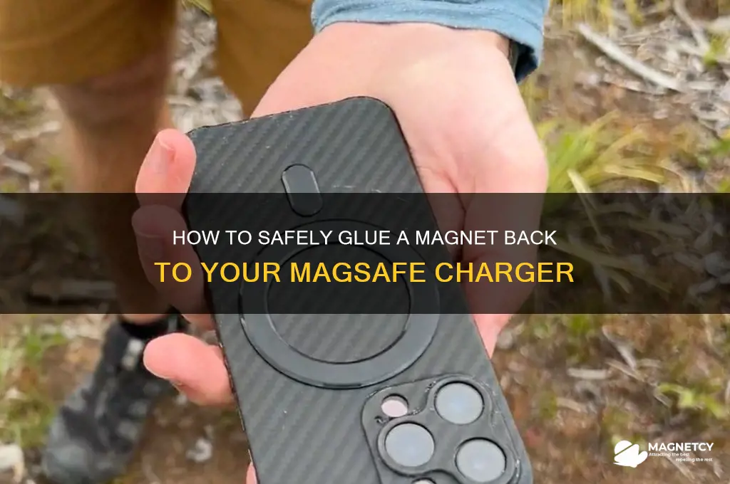 can i glue magnet back to magsafe charger