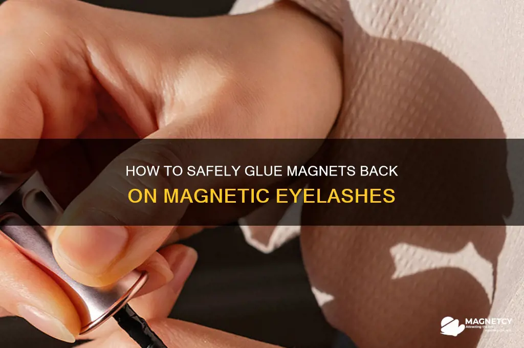 can i glue magnets back on magnetic eyelashes