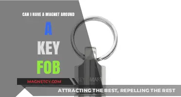 Magnets and Key Fobs: Safe Proximity or Potential Damage Risk?