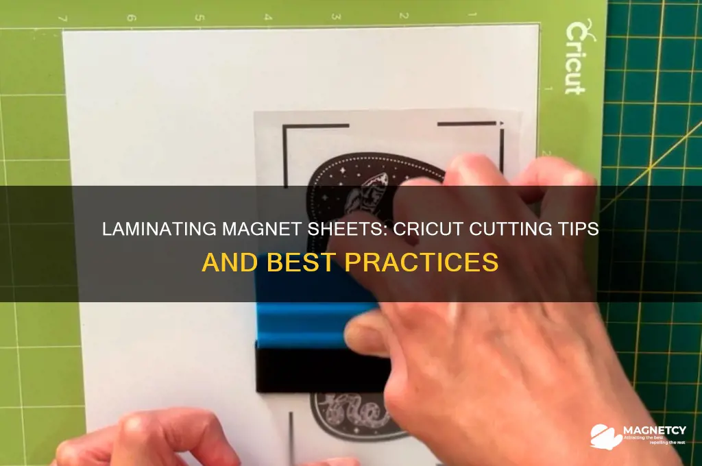 can i laminate magnet sheet before cutting on cricut