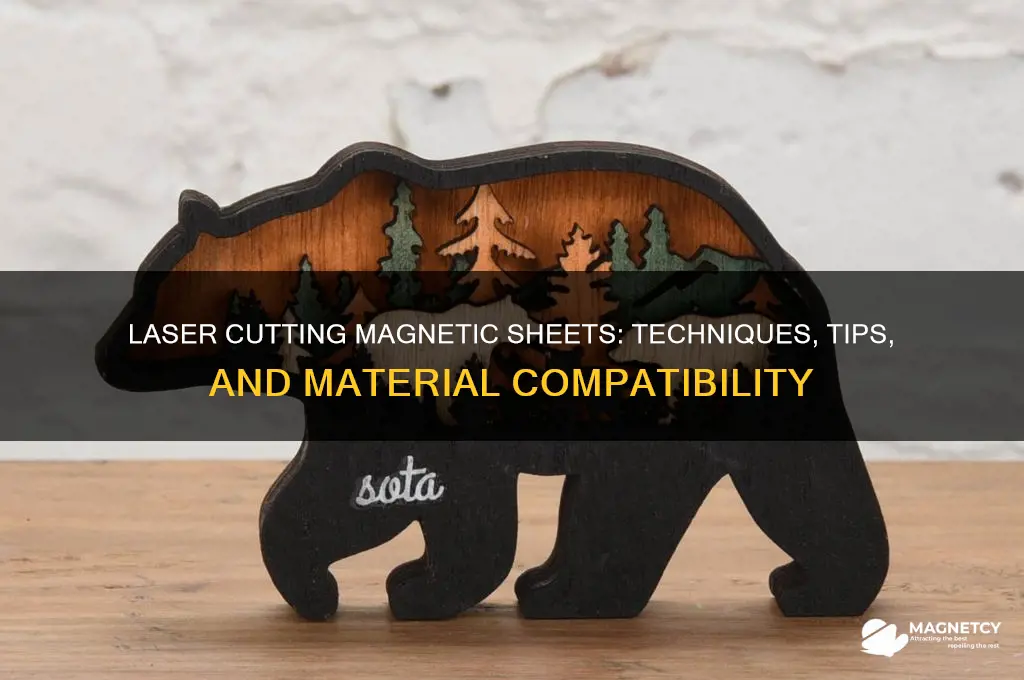 can i lasercut magnetic sheets