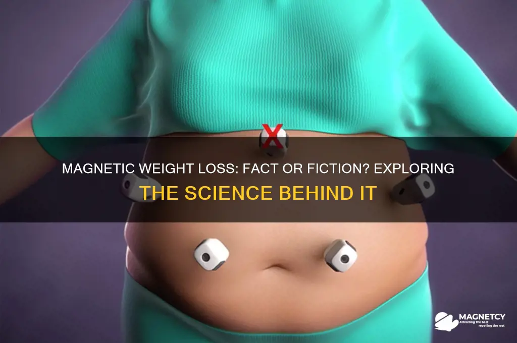 can i lose weight with magnets