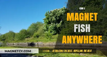 Magnet Fishing Locations: Where Can You Legally Explore and Discover?