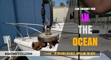 Ocean Magnet Fishing: Is It Possible and What Can You Find?