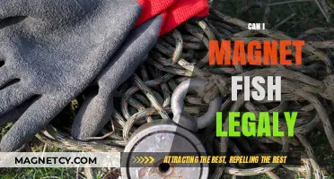 Magnet Fishing Legality: What You Need to Know Before You Start