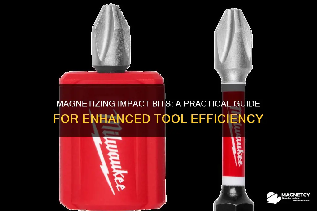 can i magnetize impact bits