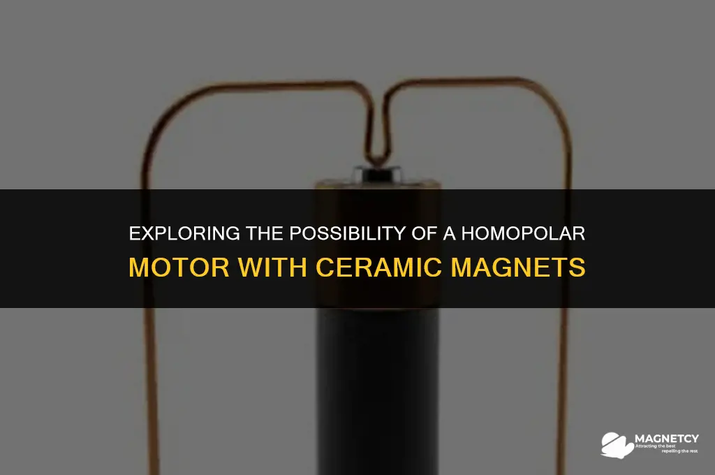 can i make a homopolar motor with ceramic magnets
