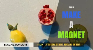 Exploring Magnetism: A DIY Guide to Creating Your Own Magnets