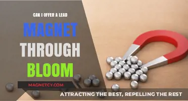 Using Bloom to Offer a Lead Magnet: A Comprehensive Guide
