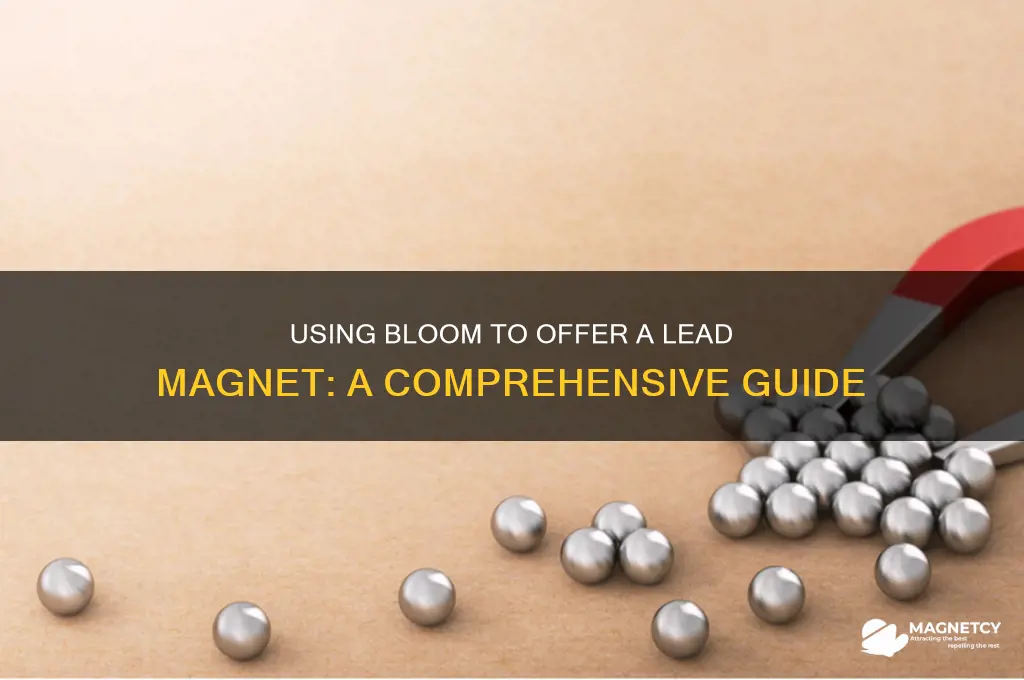 can i offer a lead magnet through bloom