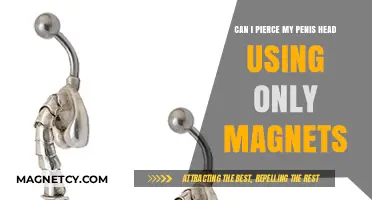 Magnetic Penis Piercing: Safe DIY Method or Risky Experiment?