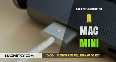 Can Magnets Damage Your Mac Mini? Safety Tips and Facts