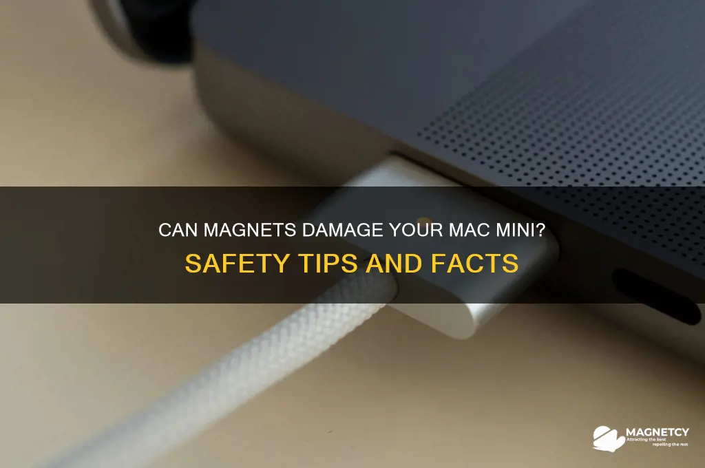 can i put a magnet to a mac mini