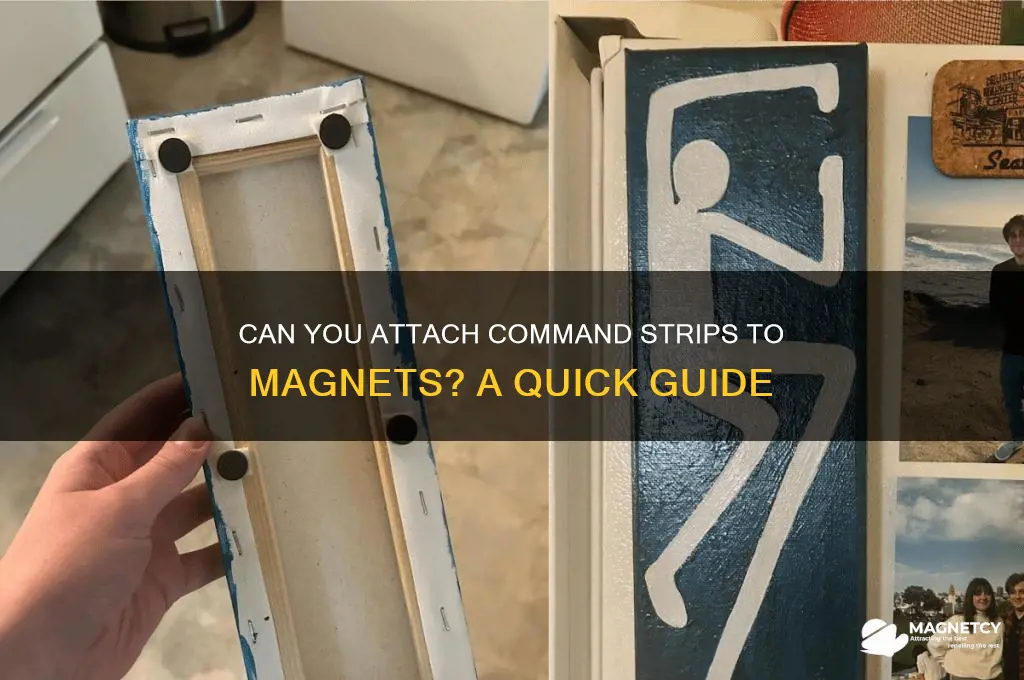 can i put command strips on magnet