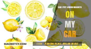 Can Lemon Magnets Safely Enhance Your Car's Exterior?