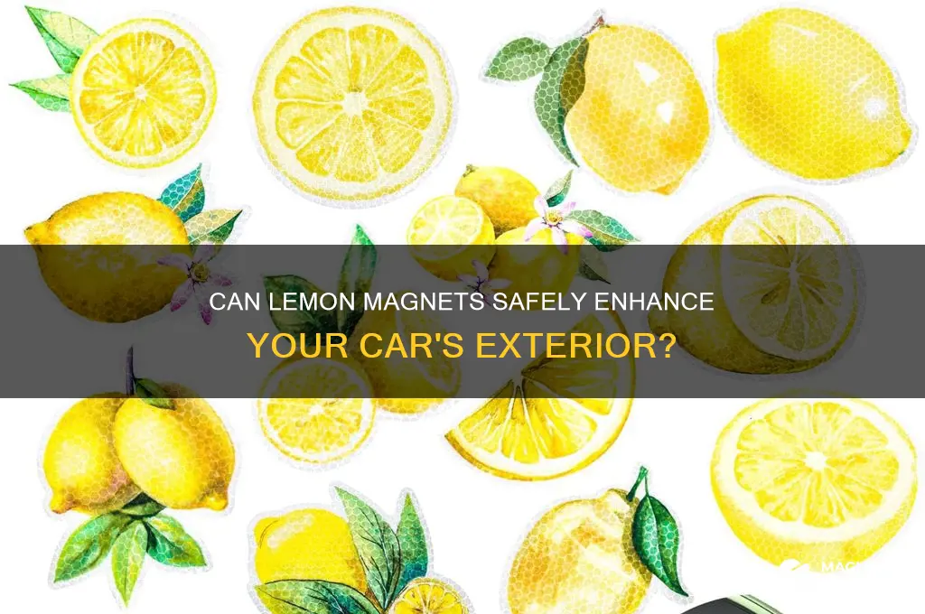 can i put lemon magnets on my car
