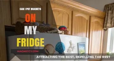 Magnets on Your Fridge: Safe, Practical, and Creative Ideas Explained