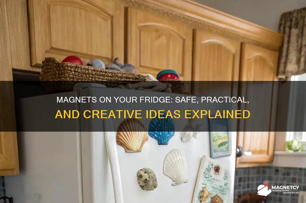 can i put magnets on my fridge
