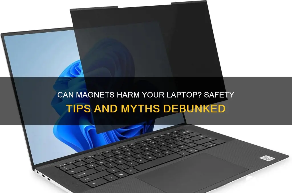 can i put magnets on my laptop