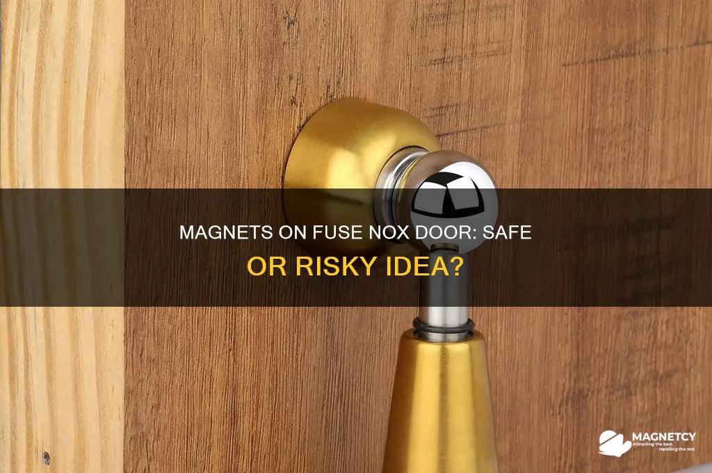 can i put magnets on the door of fuse nox