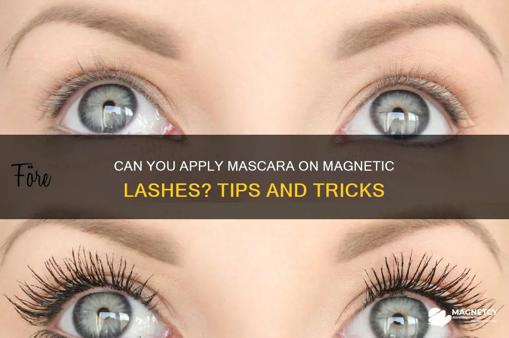 can i put mascara on magnetic lashes