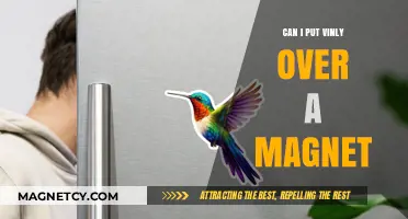 Can You Apply Vinyl Over a Magnet? A Practical Guide