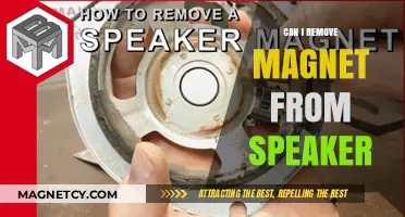 Removing Magnets from Speakers: Risks, Benefits, and Step-by-Step Guide