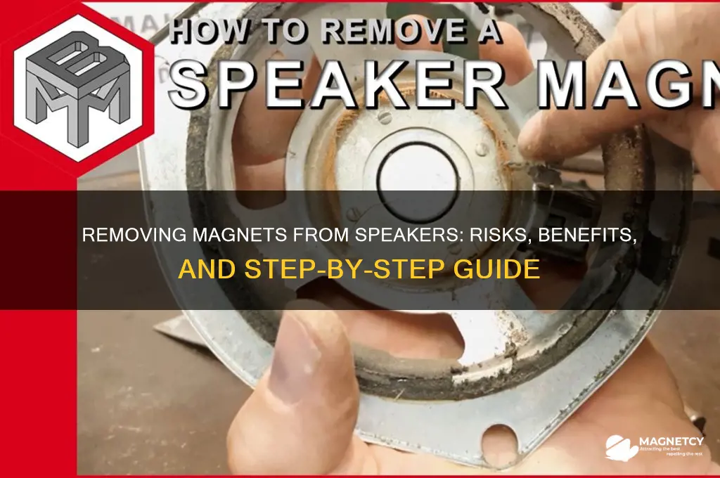 can i remove magnet from speaker