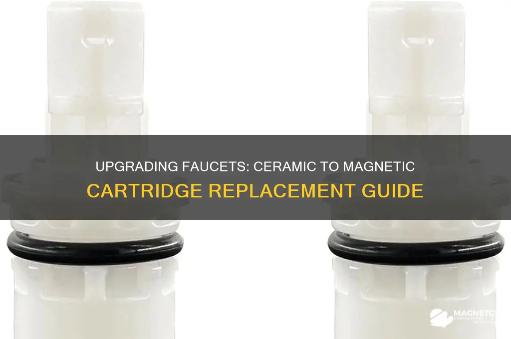 can i replace my ceramic cartridgfe with a magnetic one