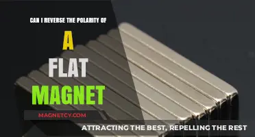 Reversing Magnet Polarity: Can Flat Magnets Be Repolarized?
