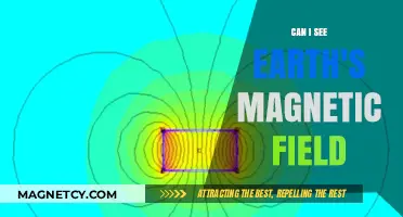 Exploring Earth's Invisible Shield: Can We See Its Magnetic Field?