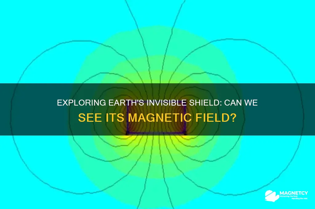 can i see earth