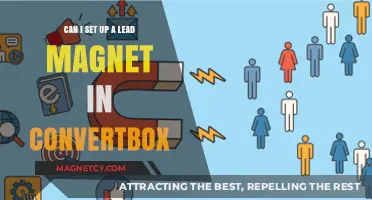 How to Set Up a Lead Magnet in ConvertBox: A Step-by-Step Guide