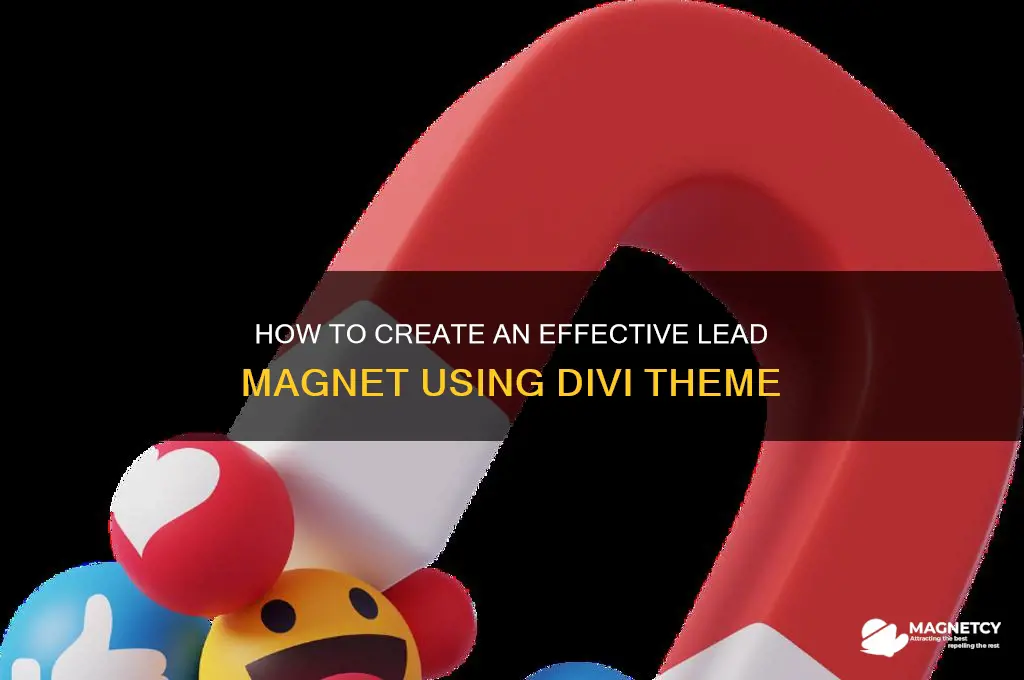 can i set up a lead magnet in divi