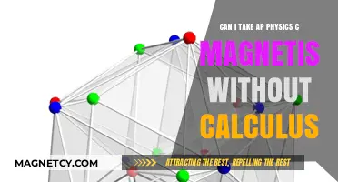 AP Physics C Magnetism: Calculus-Free Path or Prerequisite Puzzle?