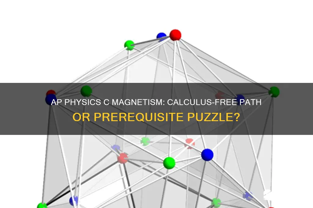 can i take ap physics c magnetism without calculus