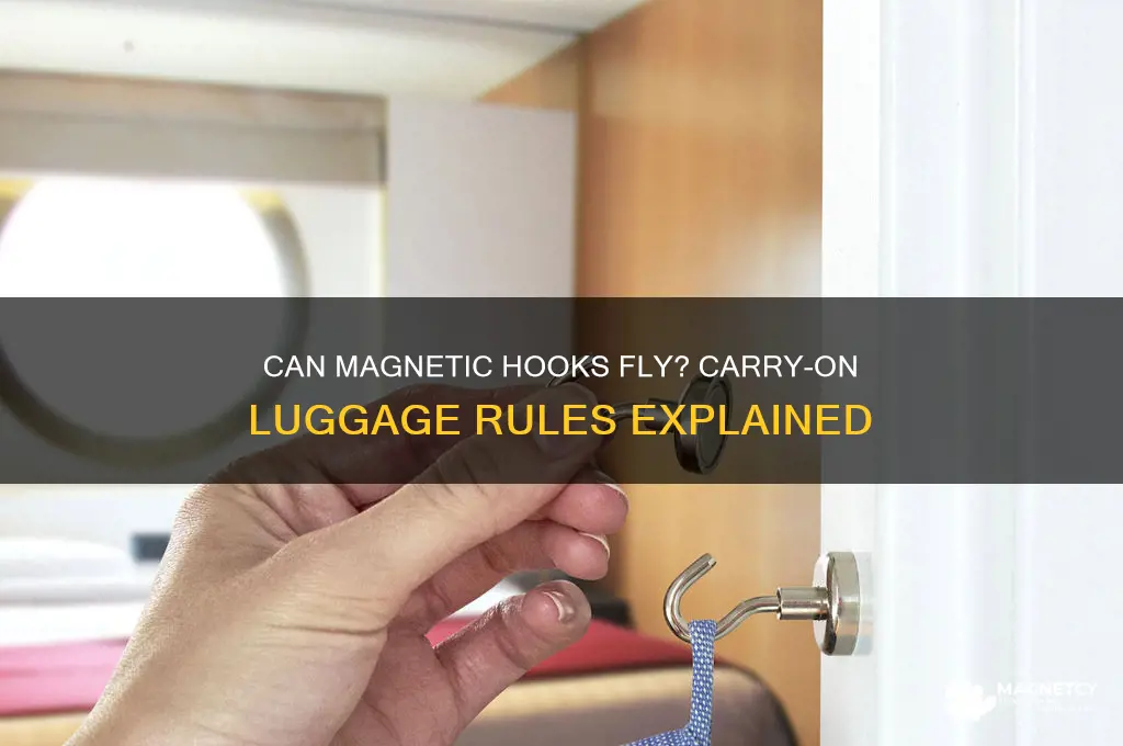 can i take magnetic hooks in my carry on