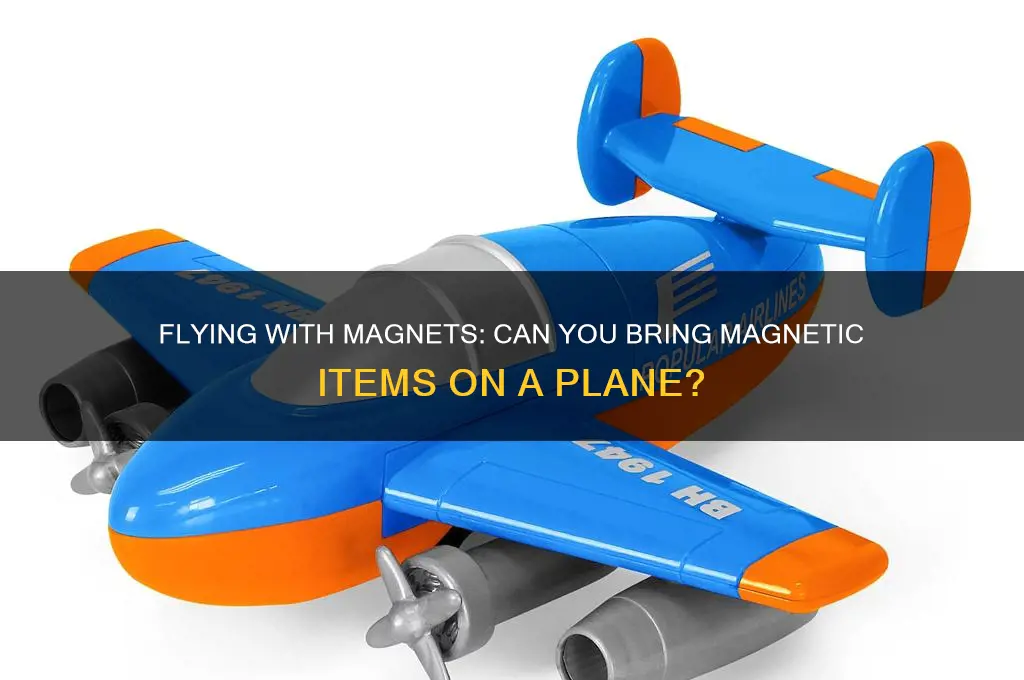 can i take magnetic items on a plane