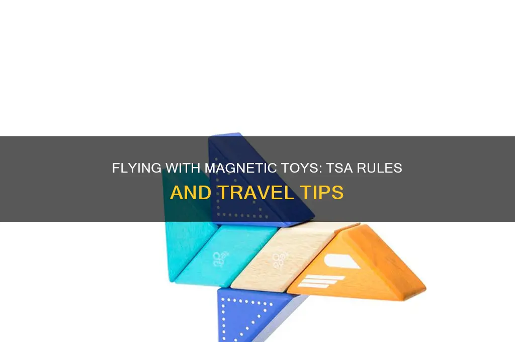 can i take magnetic toys on a plane