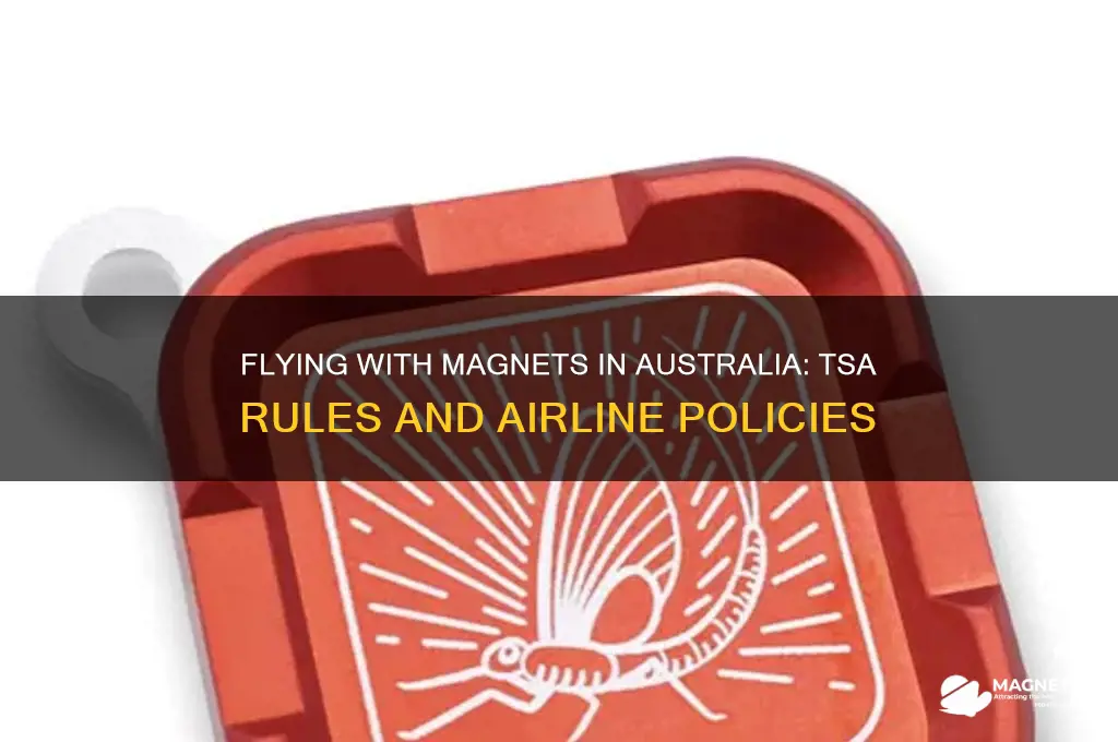 can i take magnets on a plane australia