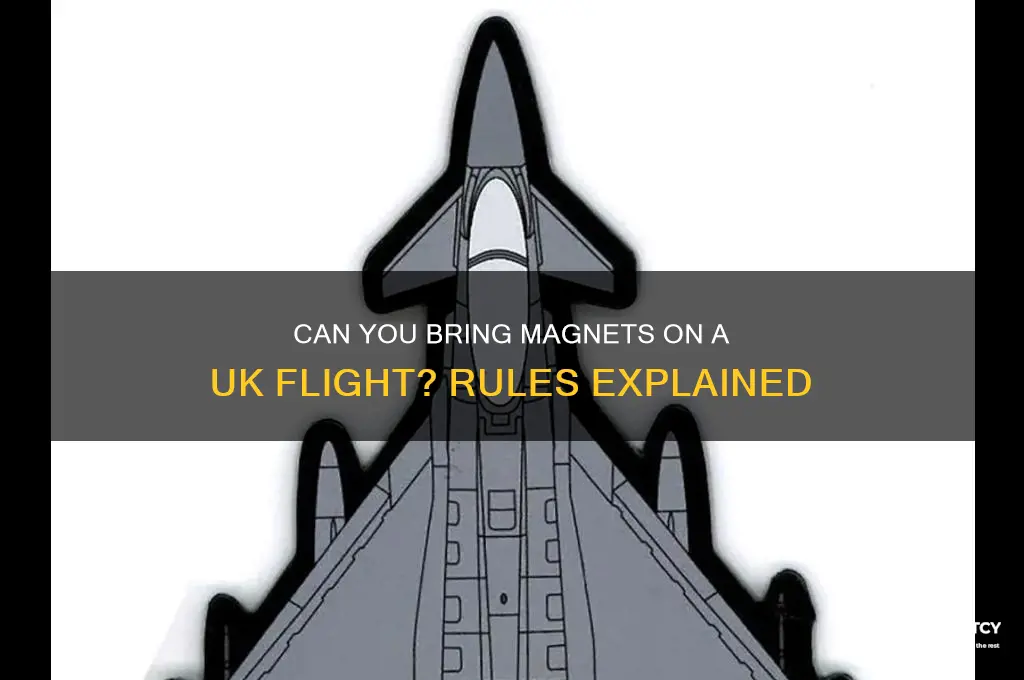 can i take magnets on a plane uk